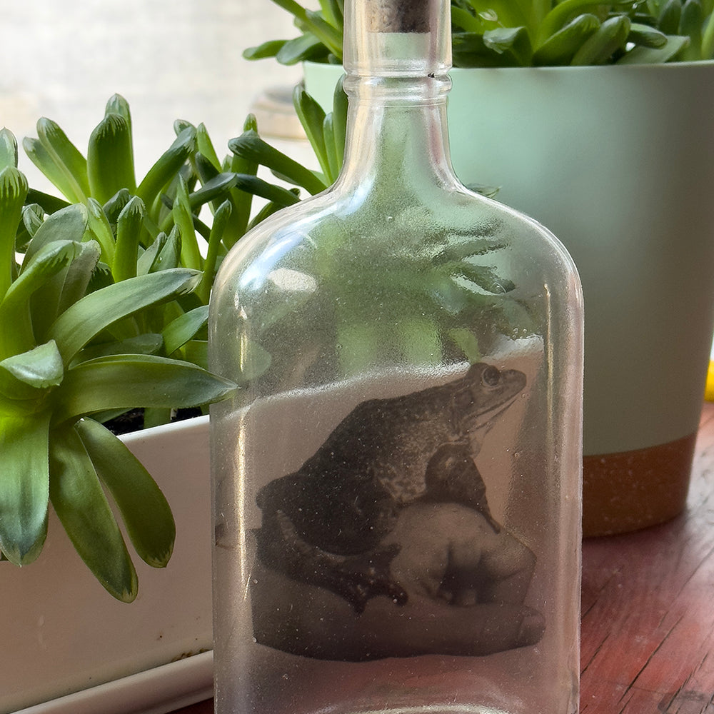 Babs Hand-printed Frog 'Prince Charming' Vintage Bottle Art