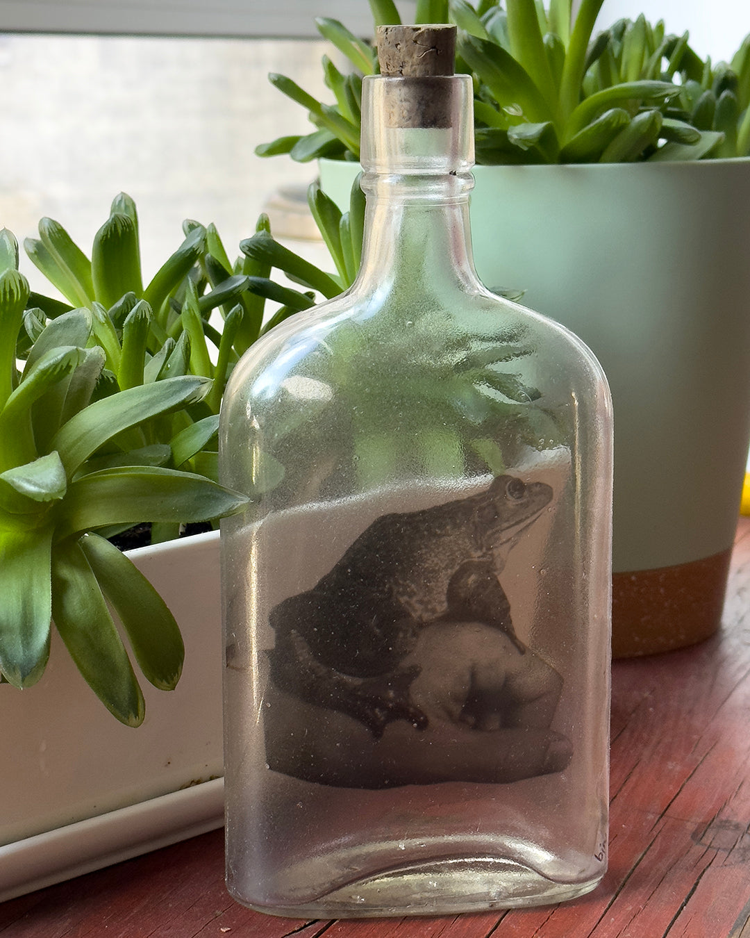 Babs Hand-printed Frog 'Prince Charming' Vintage Bottle Art