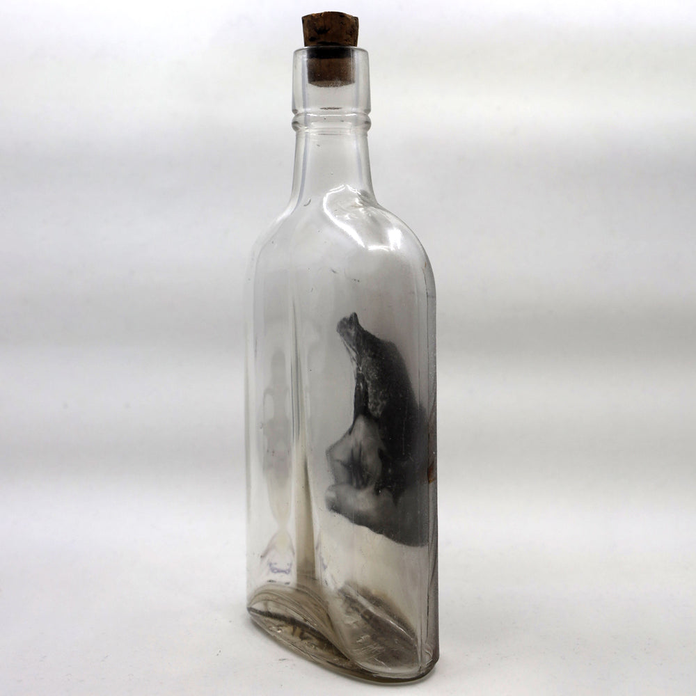 
                  
                    Babs Hand-printed Frog 'Prince Charming' Vintage Bottle Art
                  
                