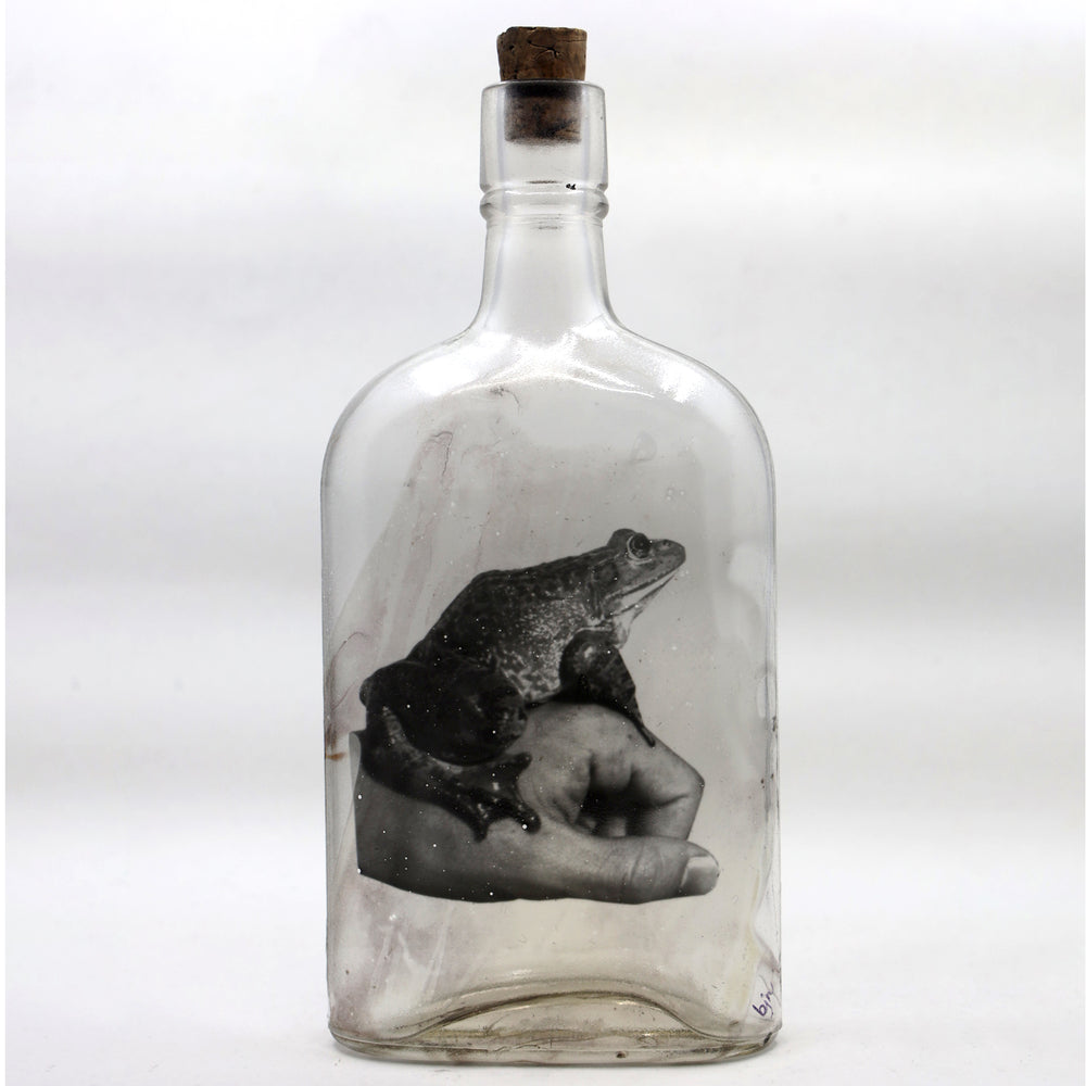 Babs Hand-printed Frog 'Prince Charming' Vintage Bottle Art