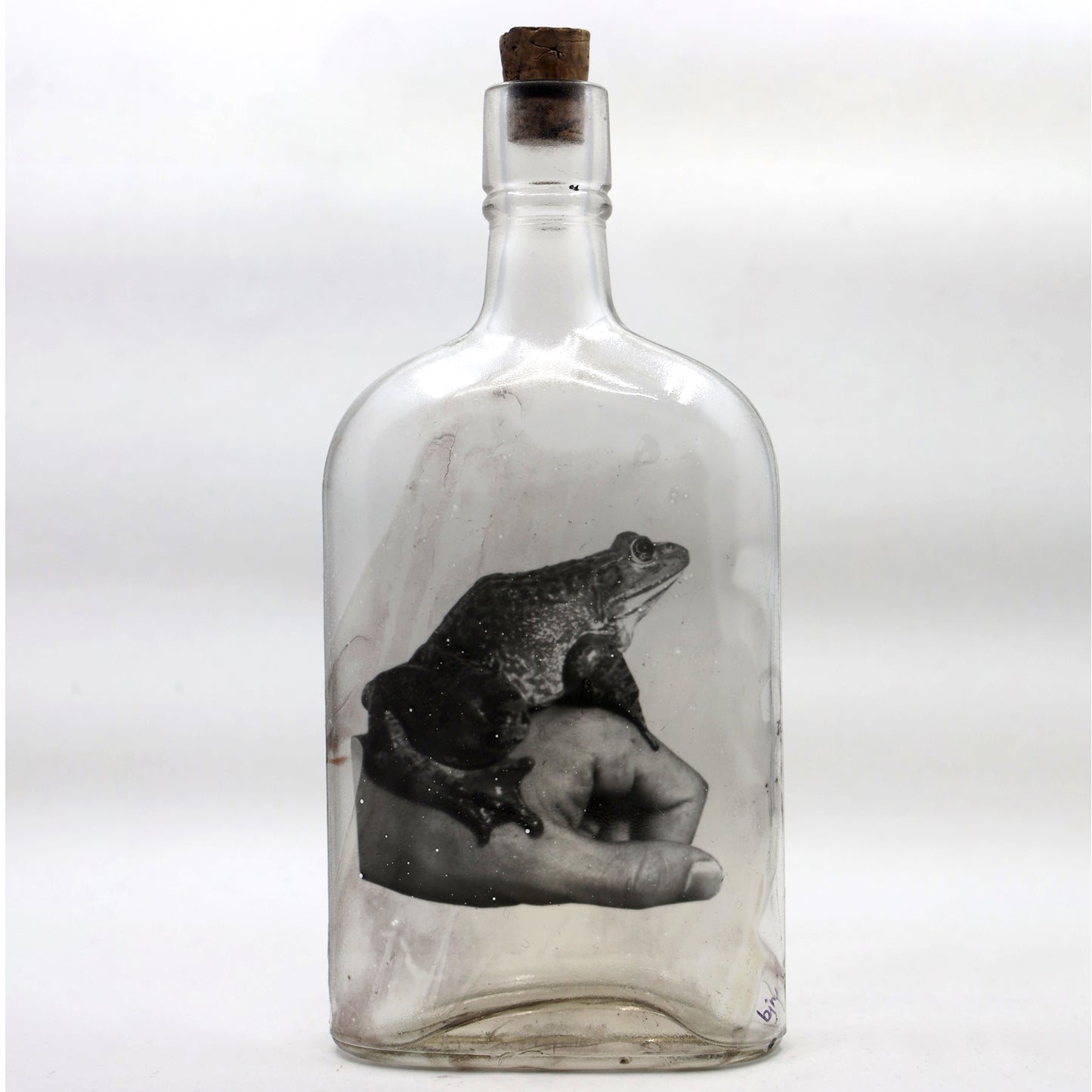 Babs Hand-printed Frog 'Prince Charming' Vintage Bottle Art