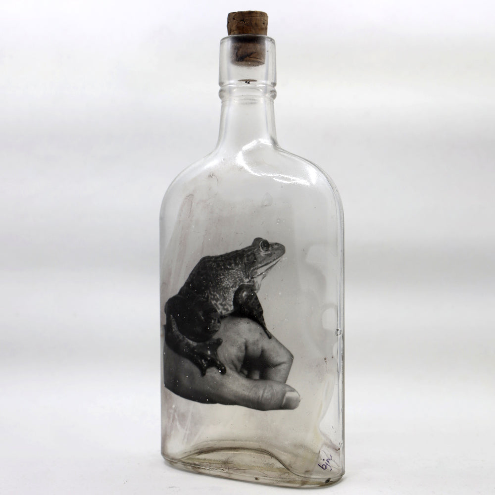 
                  
                    Babs Hand-printed Frog 'Prince Charming' Vintage Bottle Art
                  
                
